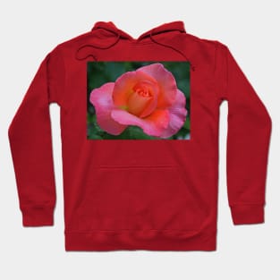 A Rose in June Hoodie